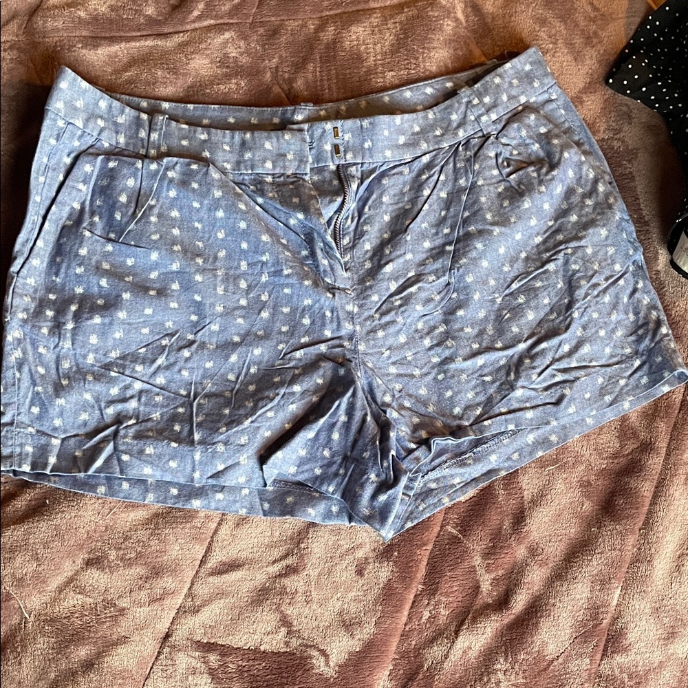 J. Crew Light Blue Polka Dot Women's Shorts